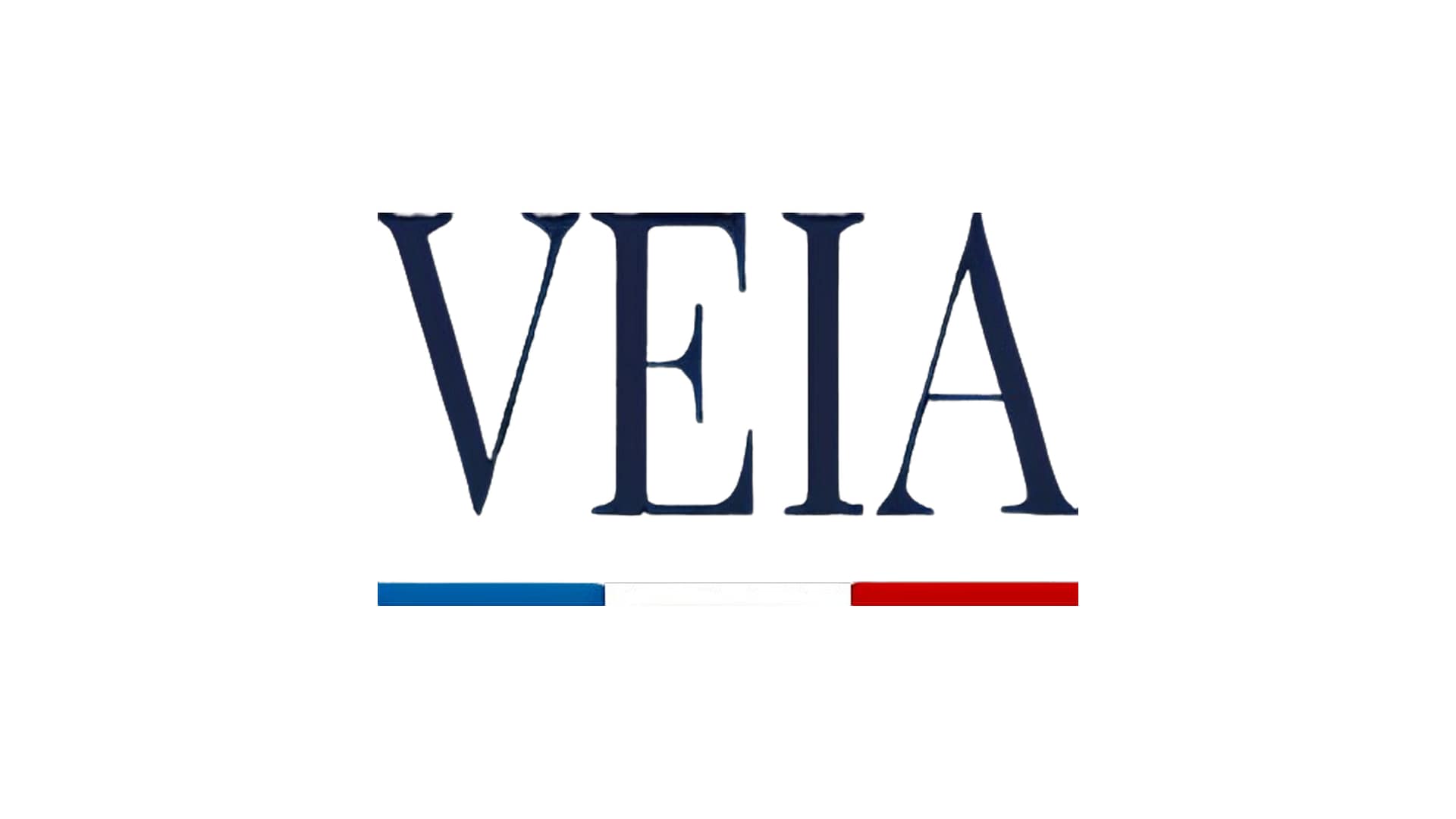 Logo Veia